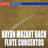 Concerto for Flute, Strings and Harpsichord in D Minor, Wq. 22: I. Allegro - Milan Lajcik & Prague Chamber Orchestra & Карл Филипп Эммануил Бах