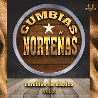 Zancudito Loco - Cumbias Nortenas & Cumbias Texanas