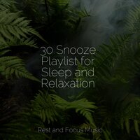 Forrest Wonders - Relaxing Sleep Music & Tinnitus Aid & Musica Para Dormir y Sonidos de la Naturaleza