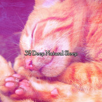 Insomnias Cure - Baby Nap Time