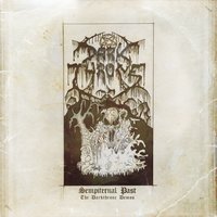 Forest of Darkness - Darkthrone