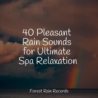 Ocean, Heavy, Rocks - The Relaxation Principle & Natural Sample Makers & Restless Baby Music