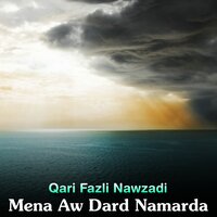 Sok De Nama Wakhle - Qari Fazli Nawzadi