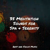 Fly Away - Echoes of Nature & Relaxing Mindfulness Meditation Relaxation Maestro & Deep Sleep Music Academy
