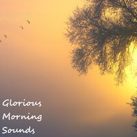 Early Garden Conversation - Nature Sounds ASMR