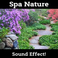 Peaceful Flute, Rain Sounds - Sound Effect!