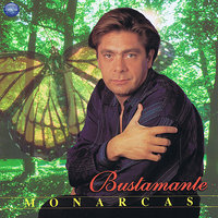 El Nevado - Bustamante