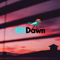 Wonders - TillDawn