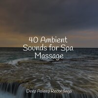 Peaceful Harmony - Spa Music Relaxation & The Rainforest Collective & Asian Zen Spa Music Meditation