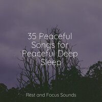 Kiss of Sun - Tranquil Music Sound Of Nature & Especialistas de Musica para Dormir & Massage Music