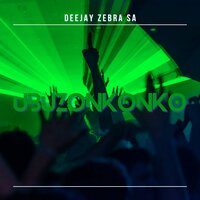 South African Story - Deejay Zebra SA