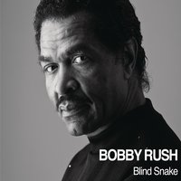 If You Don't Treat Me Better - Bobby Rush