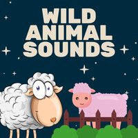 Animal Sounds With Real Animal Noises (Loopable) - Animals Sounds & Animal Sounds List & Animal Sound
