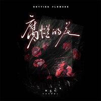 腐烂的花 - 鱼儿七 & 魚兒七