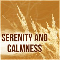 The Silence - Deep Sleep Meditation Guru