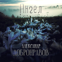 Ангел - Александр Добронравов