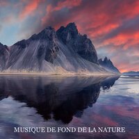 Au Milieu de la Nature - Oasis de Sommeil