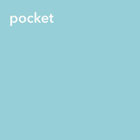 Beautiful Gray - Pocket & Dave Smalley
