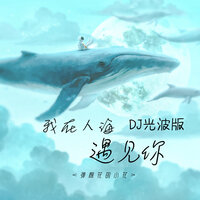我在人海遇见你 - 弹棉花的小花
