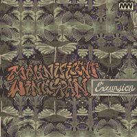 Excursion - Magnificent Wingspan & AllPoints & Oscify & Jpalm
