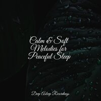 Fly Away - Yoga Rain & Relajacion Del Mar & Deep Sleep Music Experience