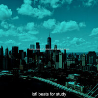 Pulsating (Soundscapes for All Night Study Sessions) - lofi beats for study