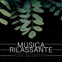 Tempo Sospeso - Armonia, Benessere & Musica