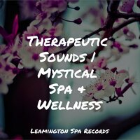 Sleepy Head - Nature Sounds for Sleep and Relaxation & Relaxing Sleep Sound & Water Sound Natural White Noise