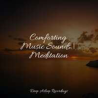 Sounds of Clarity - Tinnitus Aid & Wellness & Namaste Healing Yoga