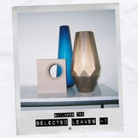 Selected Leaves - Track 7 - James Wilson