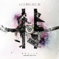 The Last Mistake - Assemblage 23