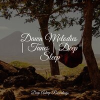 Whispering Breezes - Spa Music Collective & Sleep Songs 101 & Deep Sleep Systems
