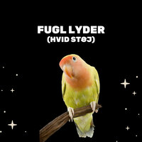 Fugl Lyder (Hvid Støj) - Afslappende Medicin & Hvid Støj & Afslappende Lyd