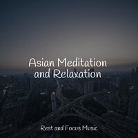 Levity Session - Sleep Waves & Meditation Music Club & Zen Meditate