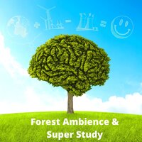 Brain Meditation - Focus Music Control