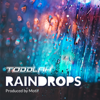 Raindrops - Toddlah & MOTIF