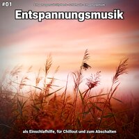 Verträumt unter Tulpen - Entspannungsmusik & Schlafmusik & Entspannungsmusik Lilly Hanck
