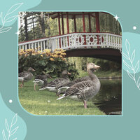 Sophisticated Ambiance for Staying Fresh - Smooth Jazz Relax
