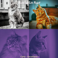 Fabulous (Music) - Music for Cats Project