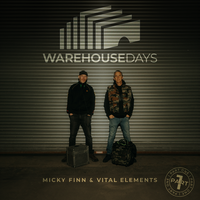 Undisclosed Location - Micky Finn & Vital Elements