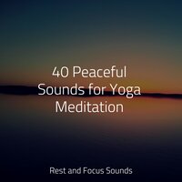 Secrets From a Babbling Brook - Deep Relaxation Meditation Academy & Tinnitus & Classical Study Music
