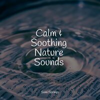 Forest, Busy, Animals - 125 Nature Sounds & Sleep Sounds Of Nature & Nature Chillout