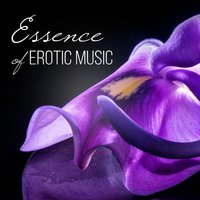 Sexual Healing - Erotic Music Zone