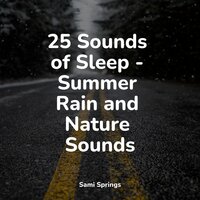 Raindrop Shower - Baby Sleep Lullaby Academy & Relaxamento & Rainforest Sounds