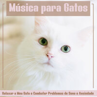 Cauda Peluda - RelaxMyCat & Pet Music Therapy & Cat Music Dreams