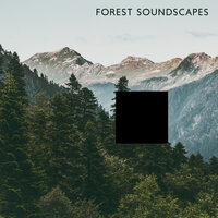 Falling Green Leaf - Nature Sounds Paradise