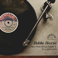 Pare Pare Olmuş Dağlar - Muhlis Akarsu