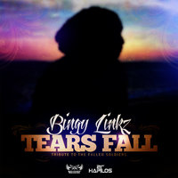 Tears Fall - Bingy Linkz & Island Kidd