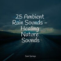 Strong Rain - Meditation Awareness & Pro Sounds of Nature & Deep Sleep Systems