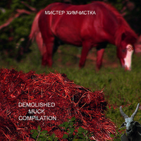 Вайльдбоар - Мистер Химчистка
